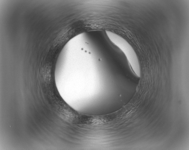 X0000056030697200509092205