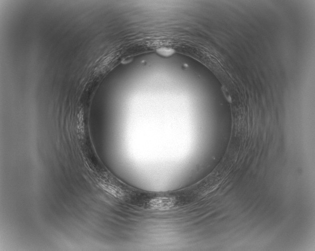 X0000056030700200509092205