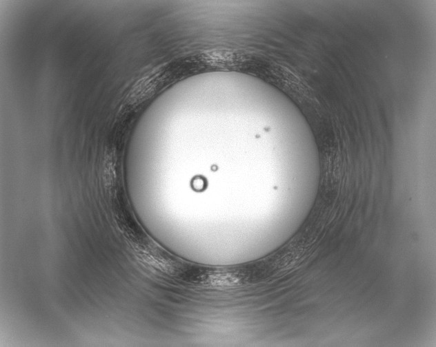 X0000056030702200509092205