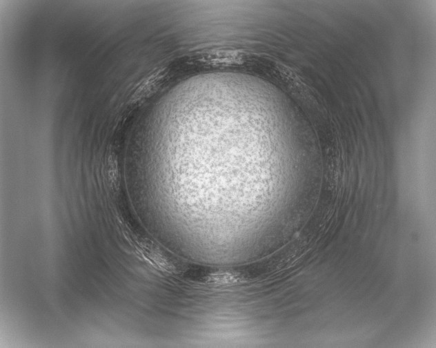 X0000056030704200509092205