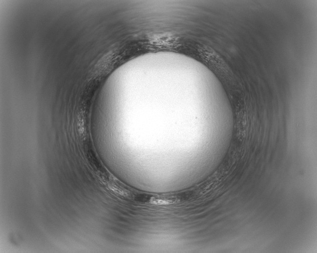 X0000056030706200509092205