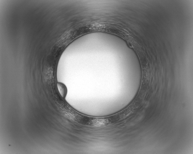 X0000056030711200509092205