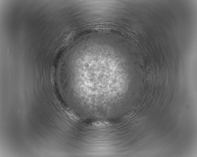 X0000056030712200509092205