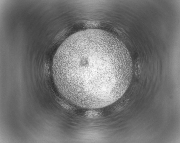 X0000056030714200509092205