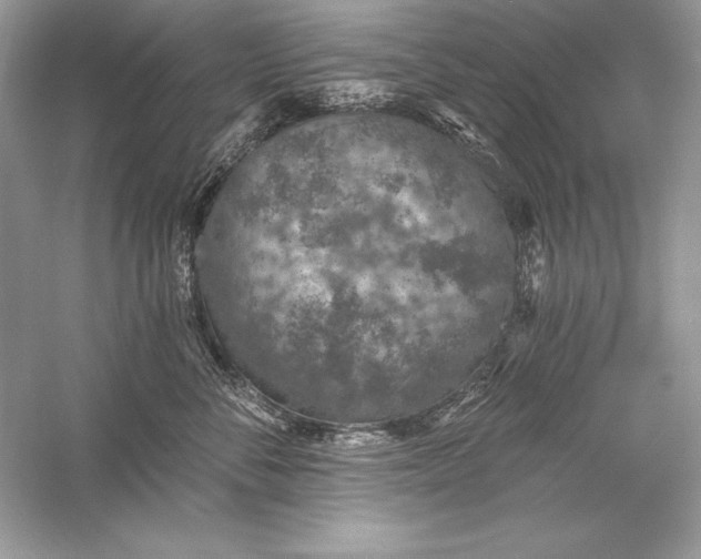 X0000056030716200509092205