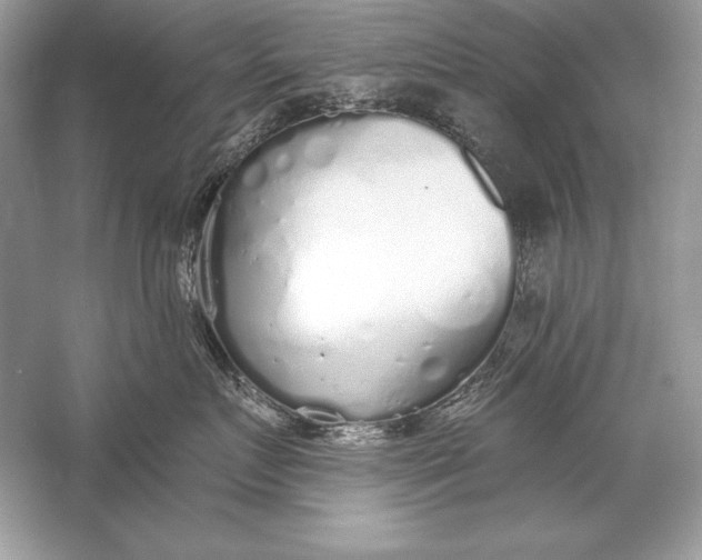 X0000056030719200509092205