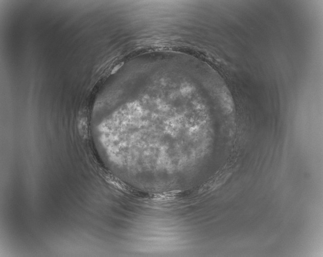 X0000056030720200509092205