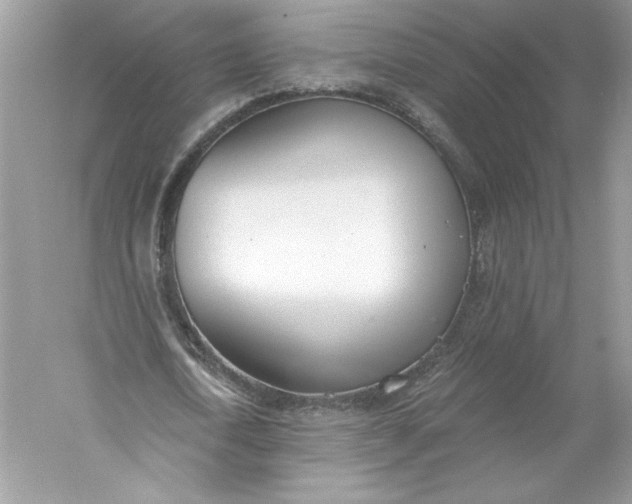 X0000056030722200509092204