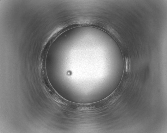 X0000056030723200509092204