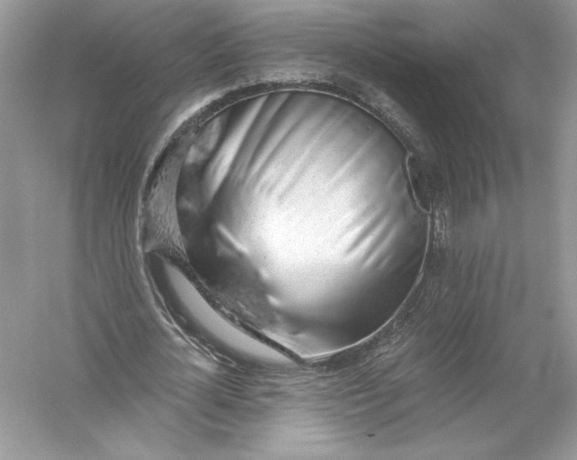 X0000056030724200509092204