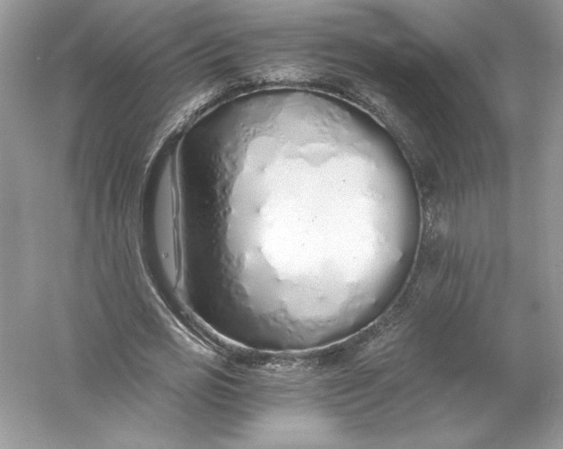 X0000056030725200509092204