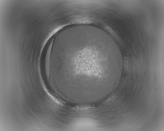 X0000056030726200509092204