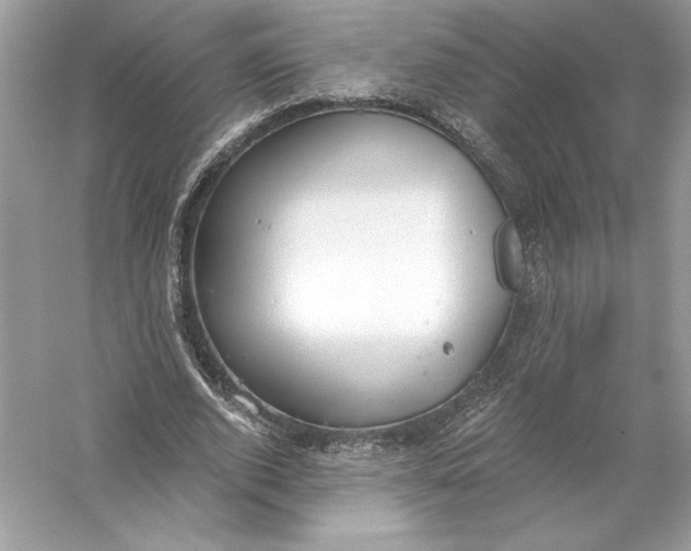 X0000056030728200509092204