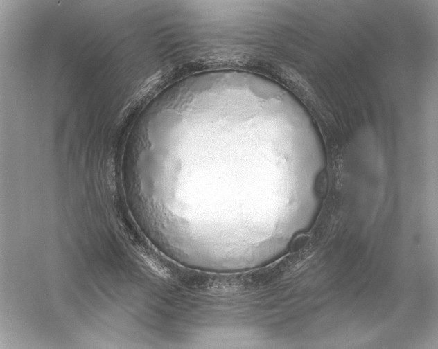 X0000056030729200509092204