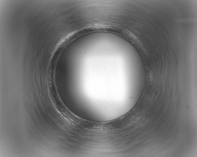 X0000056030732200509092204