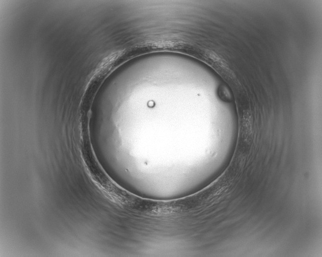 X0000056030734200509092204