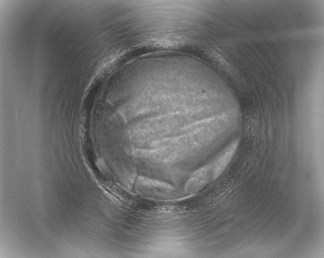 X0000056030736200509092204