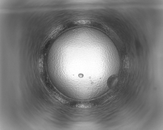 X0000056030739200509092204