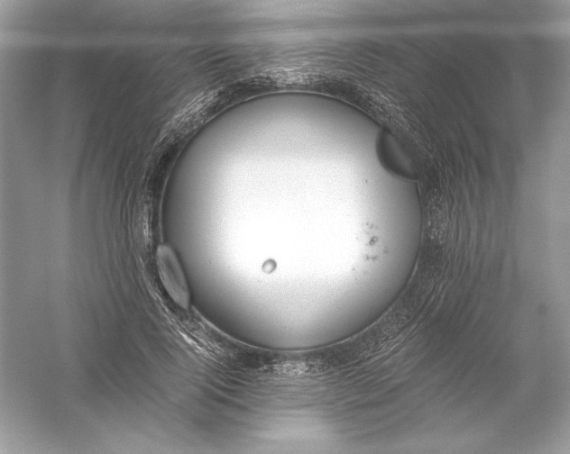 X0000056030740200509092204