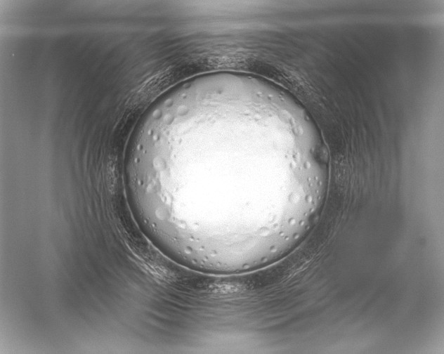 X0000056030741200509092204