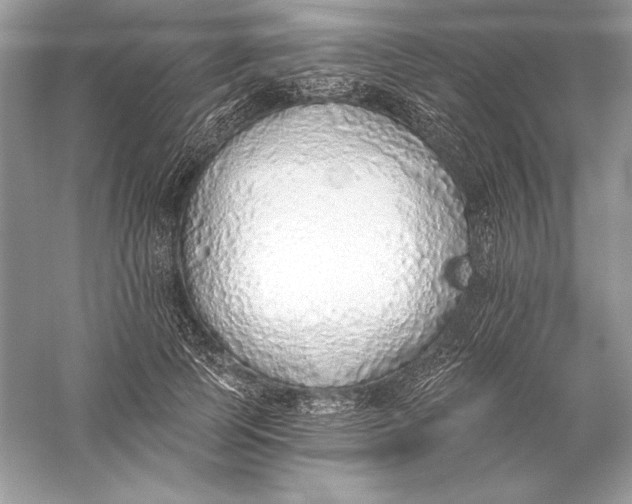 X0000056030745200509092204