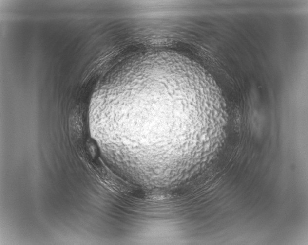 X0000056030746200509092205