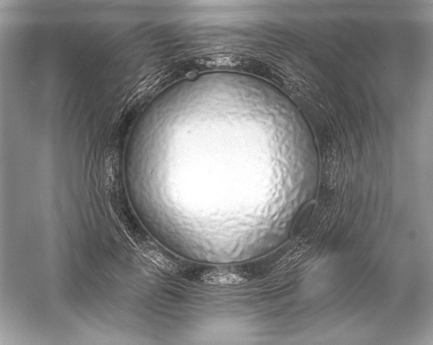 X0000056030747200509092205