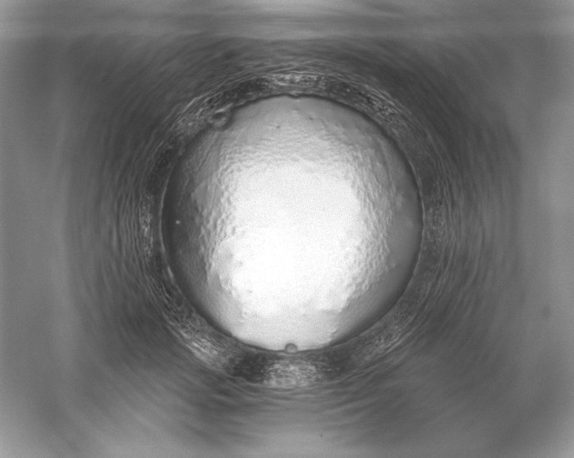 X0000056030749200509092205