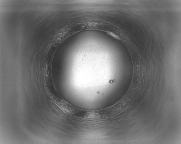 X0000056030750200509092205