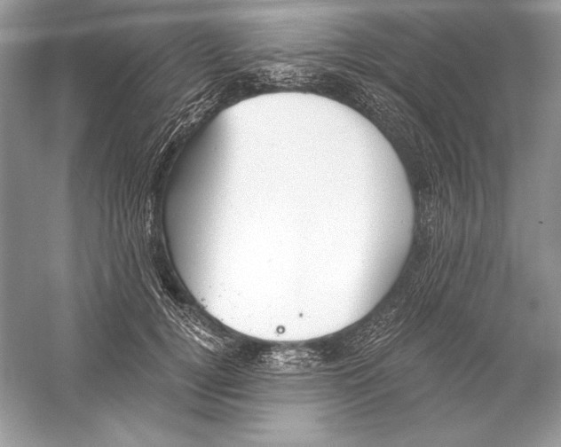 X0000056030752200509092205