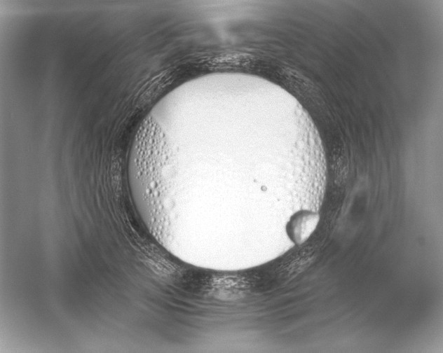 X0000056030753200509092205