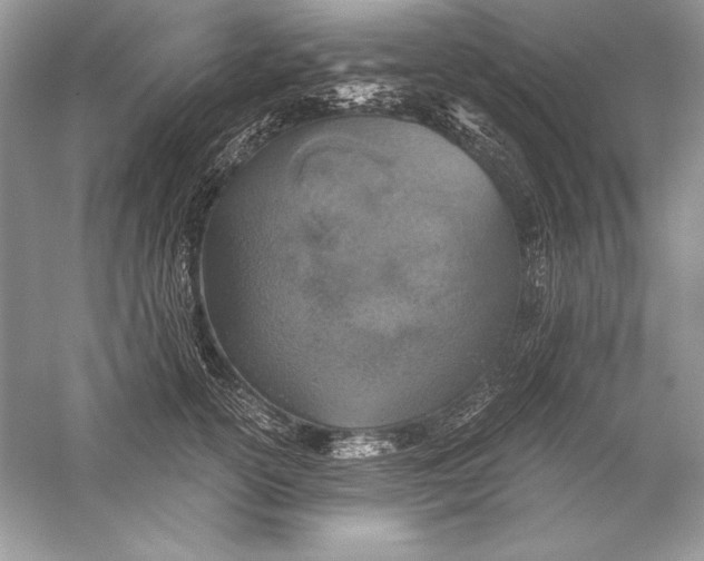 X0000056030754200509092205