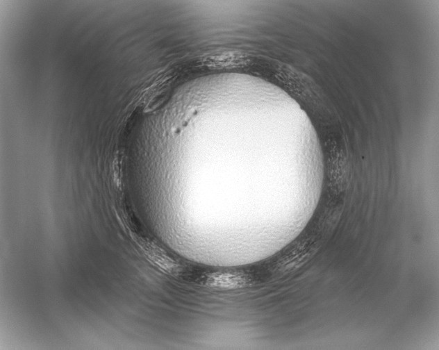 X0000056030755200509092205