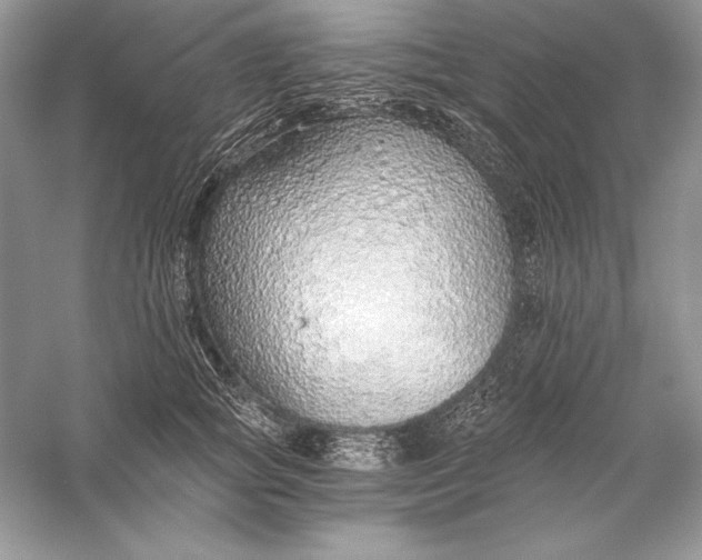 X0000056030757200509092205