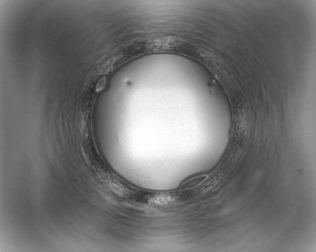 X0000056030759200509092205