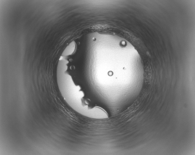 X0000056030762200509092205