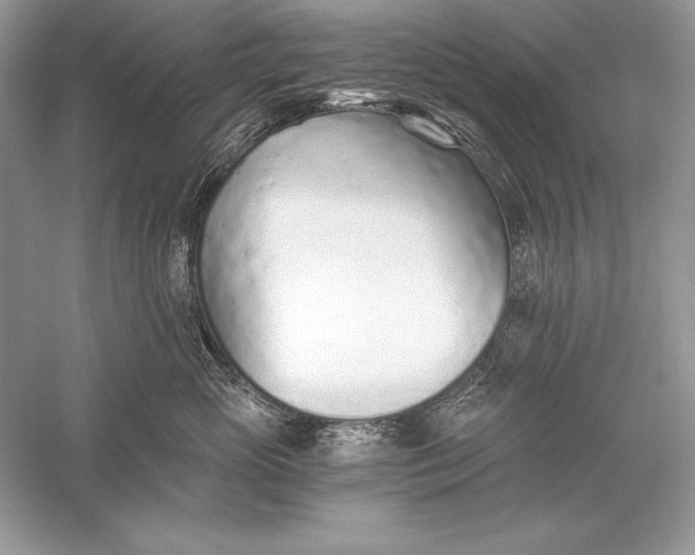 X0000056030765200509092205