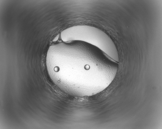 X0000056030768200509092205