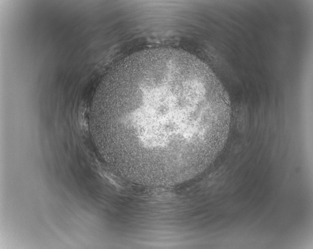 X0000056030770200509092204