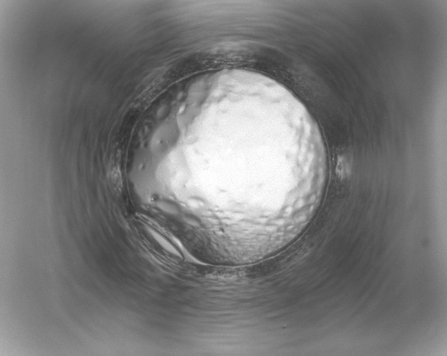 X0000056030771200509092204