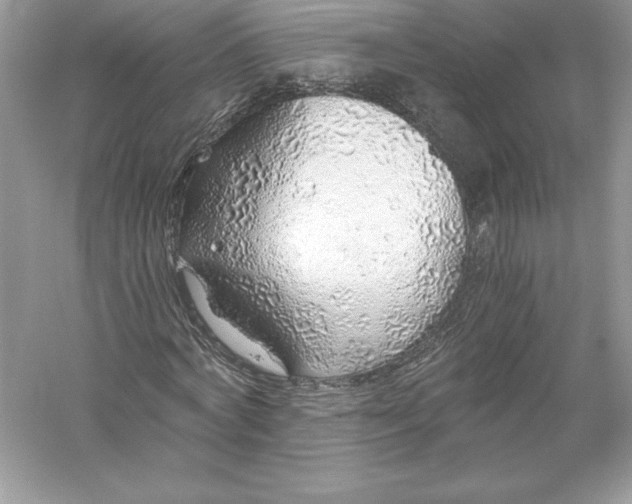 X0000056030772200509092204