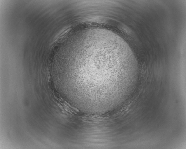 X0000056030774200509092204