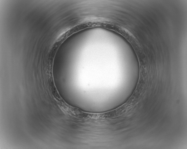 X0000056030775200509092204