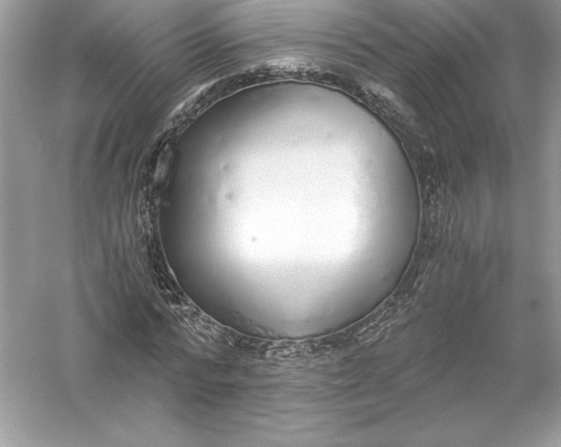 X0000056030776200509092204