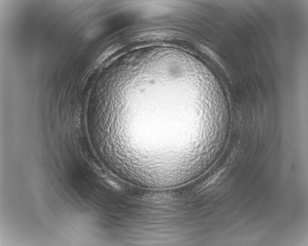 X0000056030778200509092204