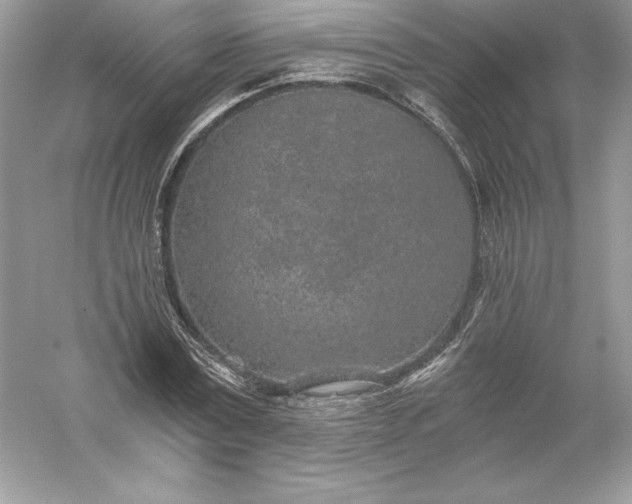 X0000056030779200509092204