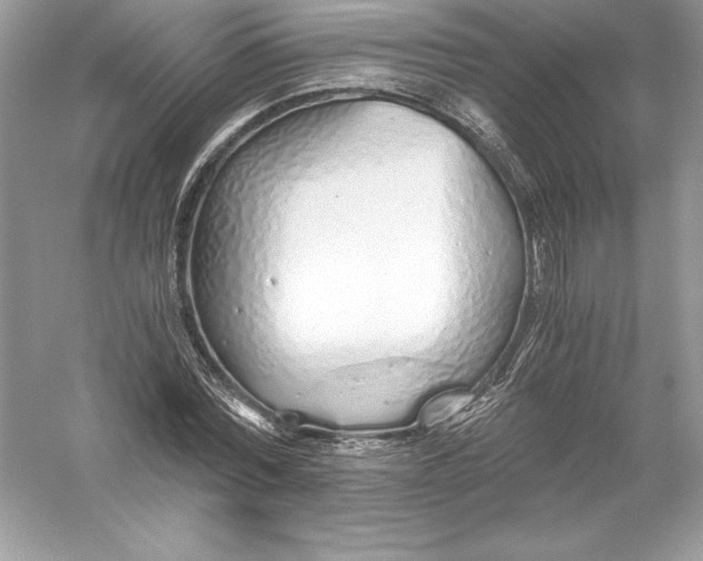 X0000056030780200509092204