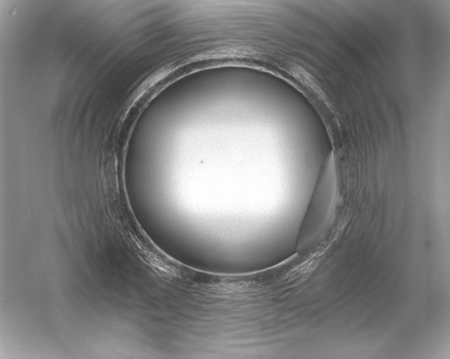 X0000056030781200509092204