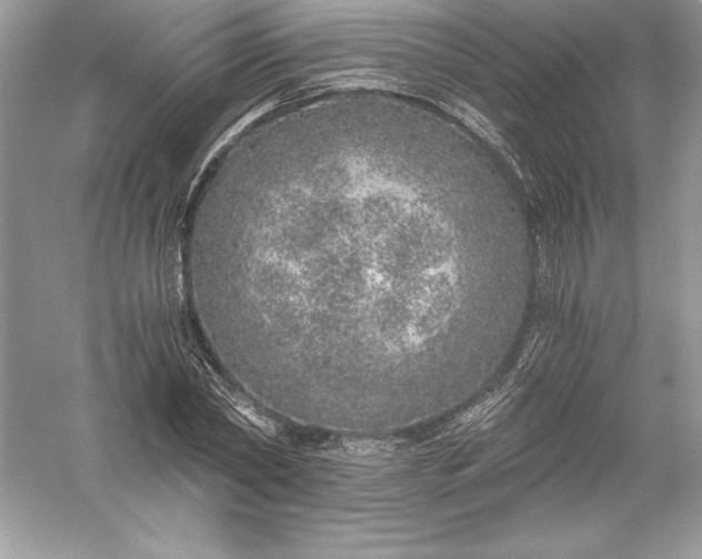 X0000056030782200509092204