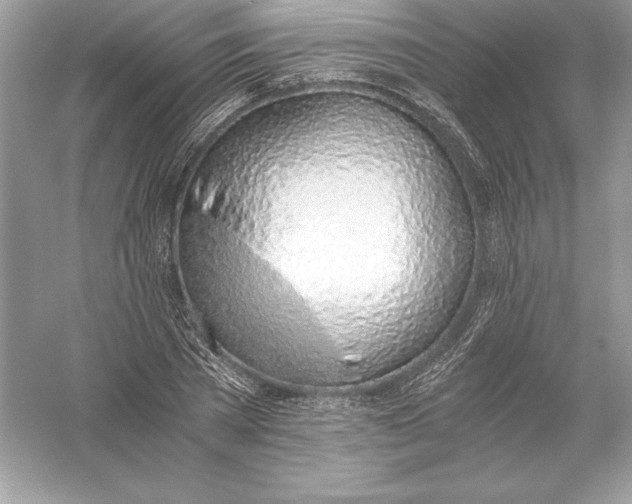 X0000056030785200509092204